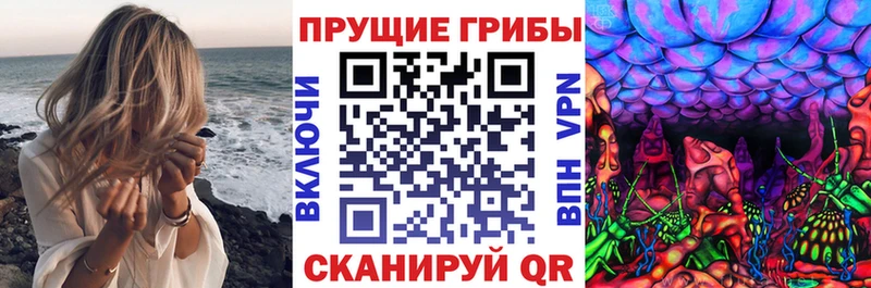 Галлюциногенные грибы мицелий  Купить  Ипатово 